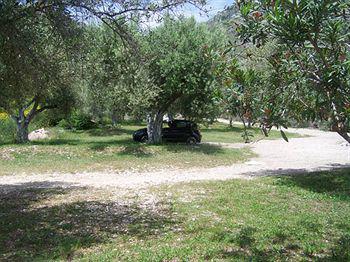 Plataria Beach Hotel Σύβοτα Εξωτερικό φωτογραφία